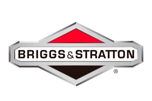 Brandstofonderdelen voor Briggs & Stratton